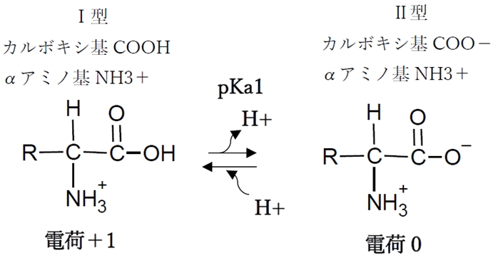 中性アミノ酸 pHの変化と解離,化学種の存在比(割合),荷電,等電点